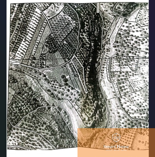 56131359