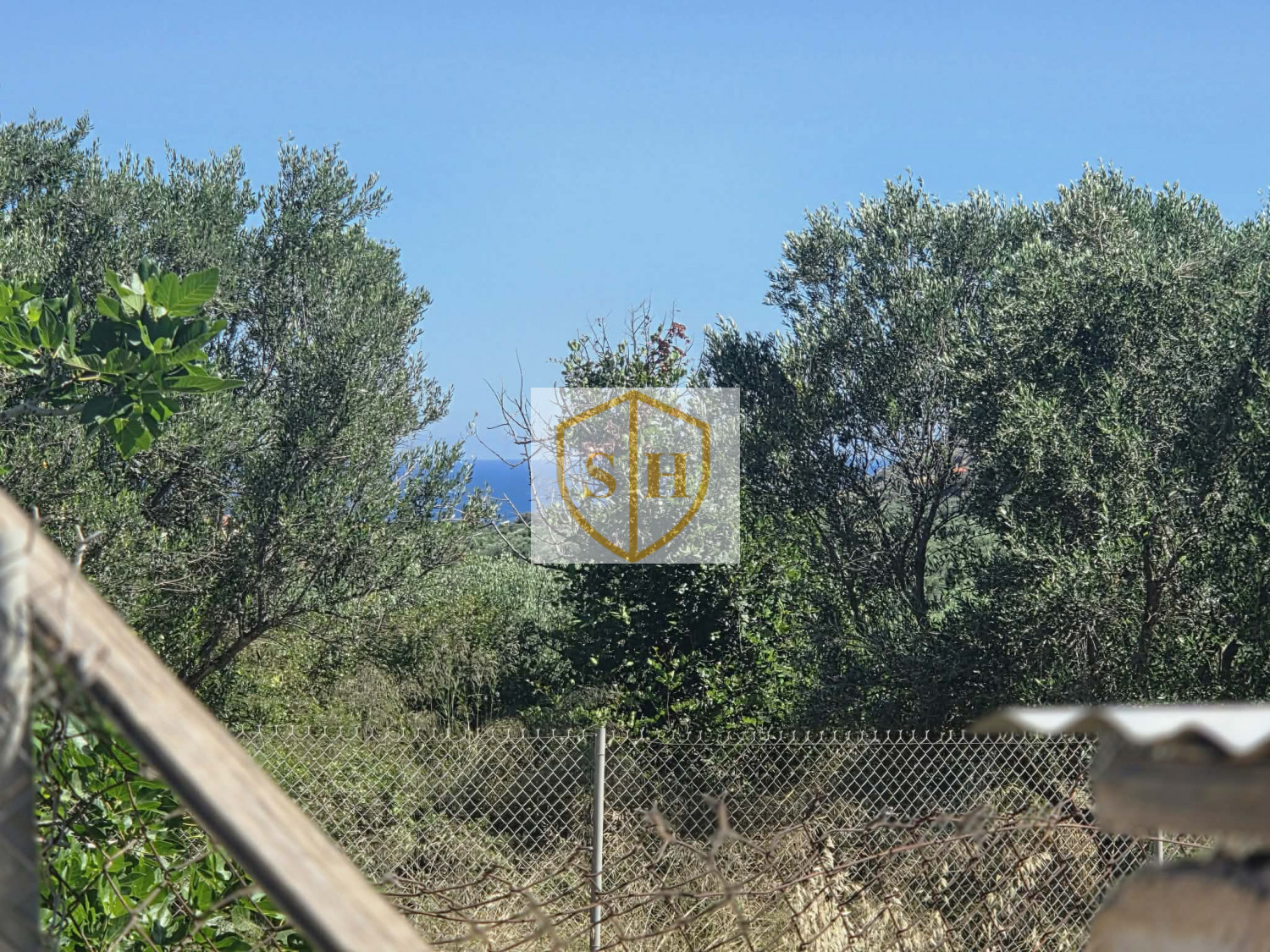 47133252
