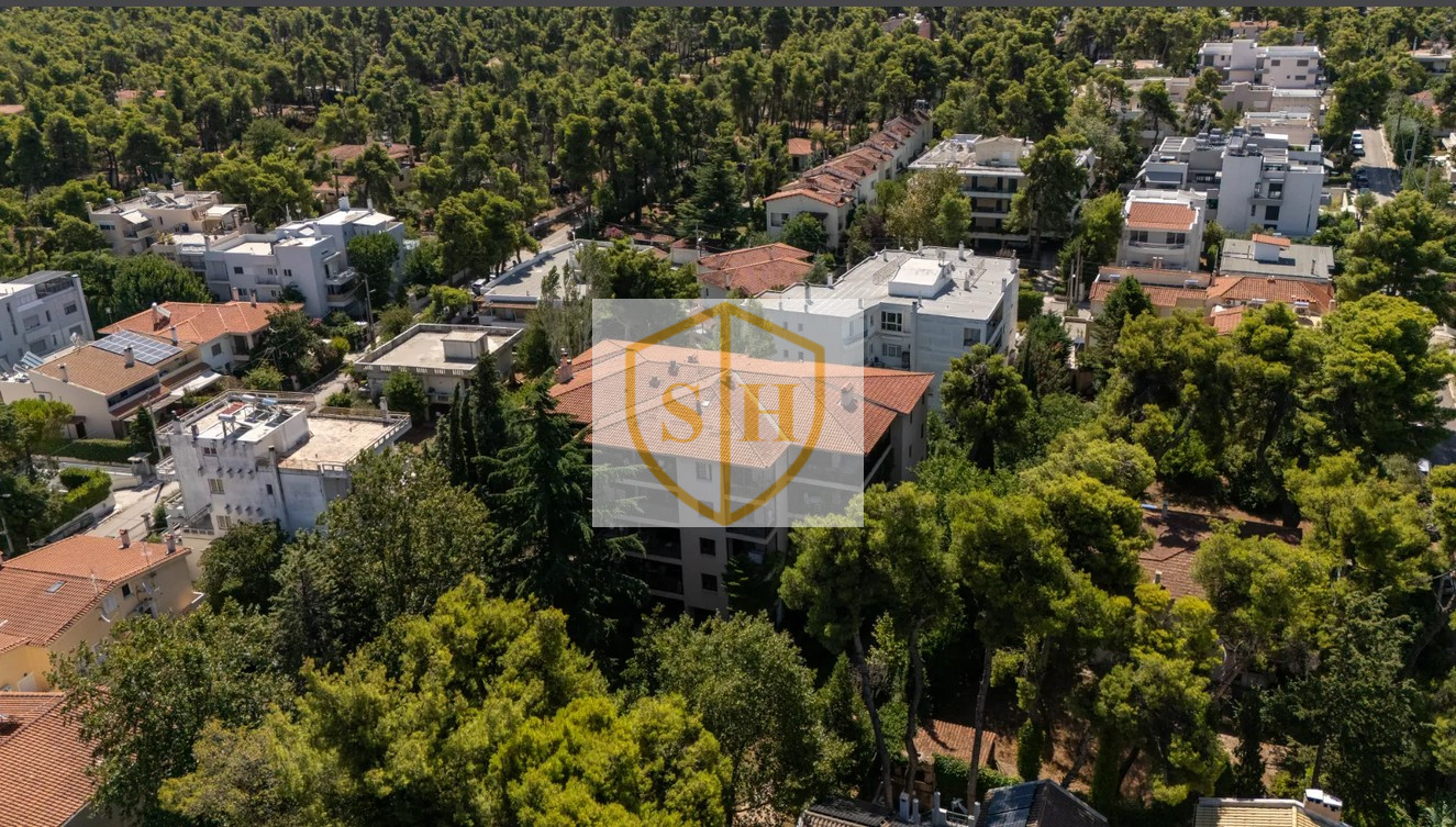 144561